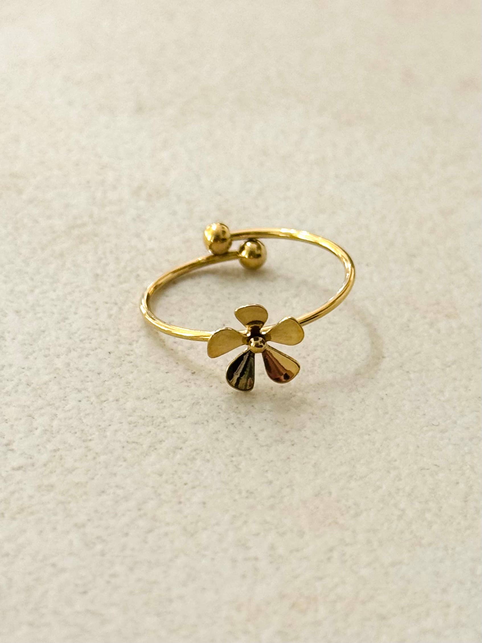 Anillo Mariana. Acero Inoxidable